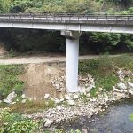 一般国道368号（天王大橋）橋梁耐震対策工事