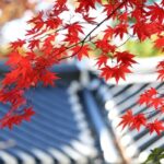 防災の日