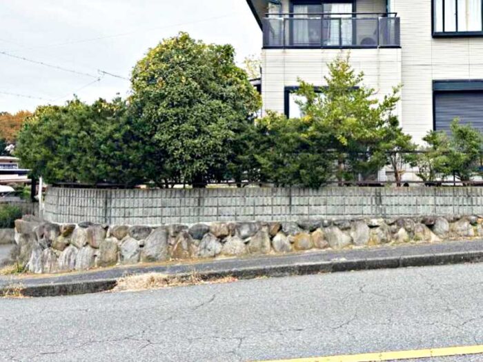 庭木の剪定前の様子