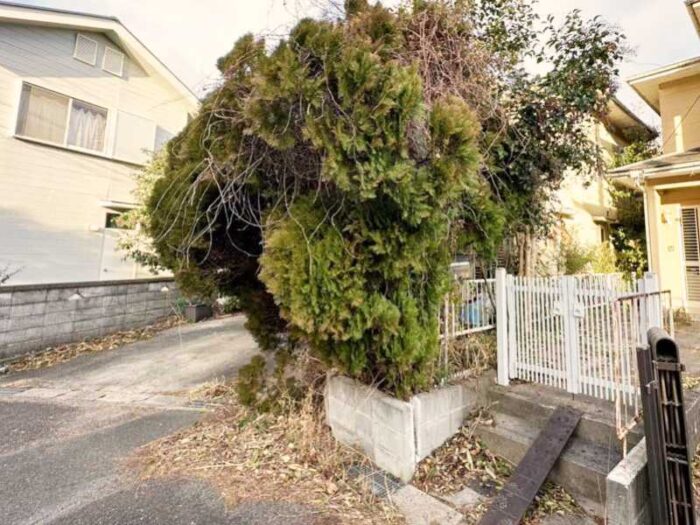 庭木伐採およびブロック塀修理を行った外構工事の施工事例