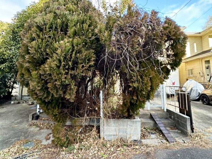 工事前の庭木と老朽化したブロック塀の状況