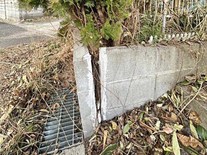 老朽化し庭木の根によって割れたブロック塀