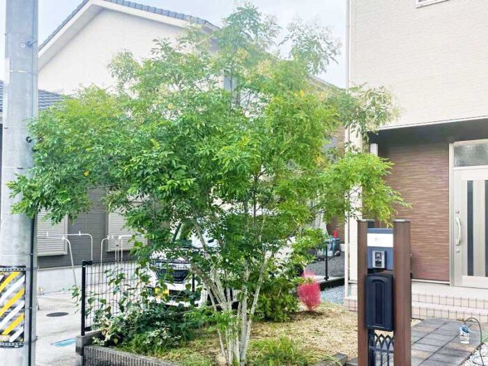 伊賀市・名張市で庭木剪定と不要木伐採