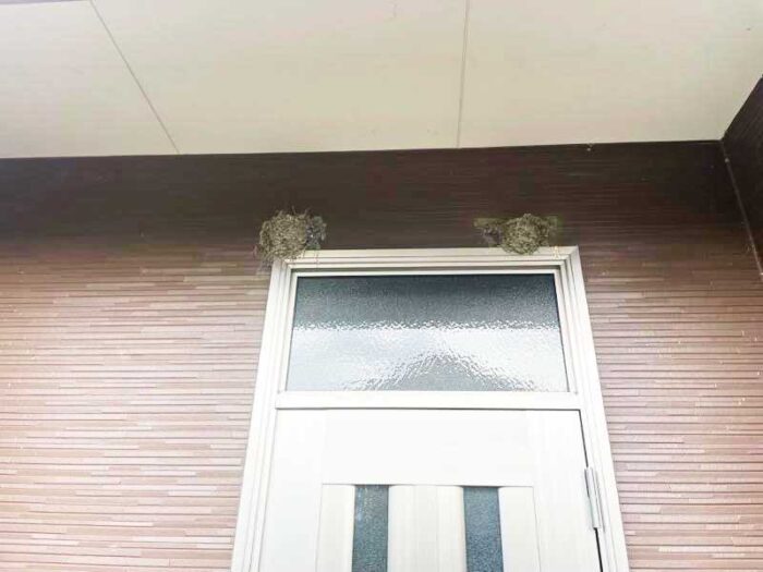 伊賀市・名張市で庭木剪定と鳥の巣除去