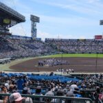 個人的な夏の楽しみ